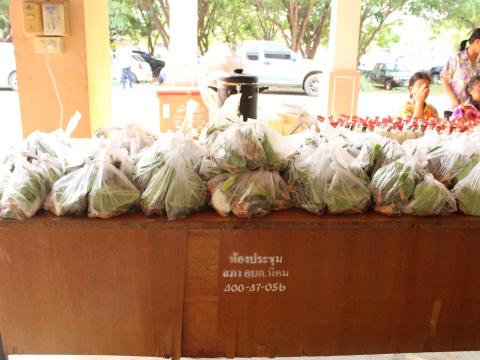 โครงการอบรมผู้สูงอายุและร่วมสืบสานวัฒนธรรมประเพณี ประจำปี 2566